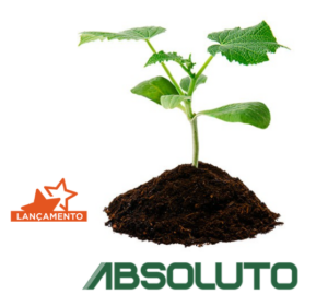 porta-enxerto para pepino Absoluto