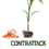 Contrattack: la protección necesaria contra Ralstonia de su producción de tomates