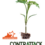 Contrattack: la protección necesaria contra Ralstonia de su producción de tomates