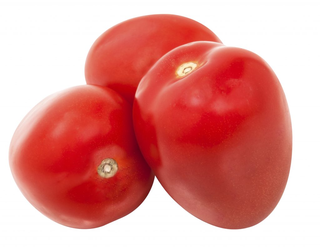 Tomate Rafano Tomate Ravena: incomparável, faça chuva ou faça sol - Sakata