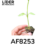 Porta-enxerto AF8253 traz ganho em produtividade de até 25% ao cultivo protegido de pimentão