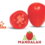 Mandalah: conheça o novo tomate saladete com pacote de resistência robusto e alta firmeza de fruto